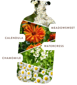 Collage of various flowers with labels on a white background