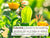 Sensitive Baby Daily Hydra Baby Lotion - Fragrance Free - 8 oz. Lotions & Creams Babo Botanicals 