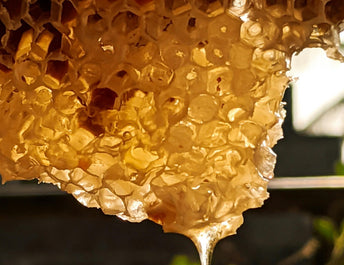 honeycomb