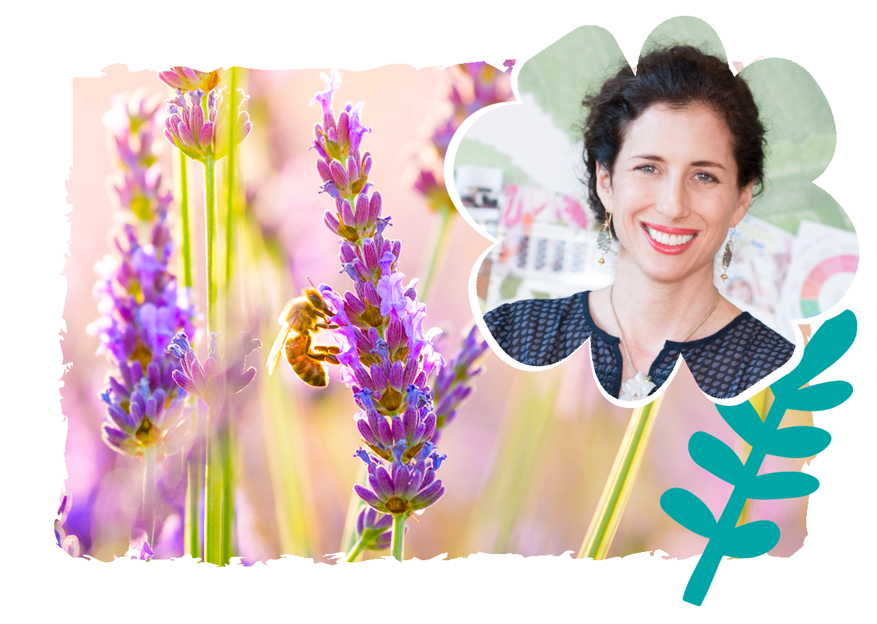 Babo Botanicals- Kate Solomon founder- Bees in a lavender field 