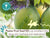 Daily Sheer Fluid SPF50 Tinted Sunscreen Sunscreen Babo Botanicals 
