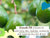 Clear Zinc Sunscreen Stick SPF 30 - Fragrance Free - 0.6 oz. Sunscreen Babo Botanicals 